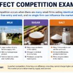 perfect competition examples